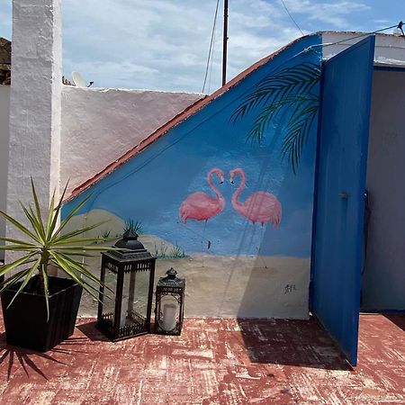 Casa De Los Dos Flamencos Miramar Kültér fotó